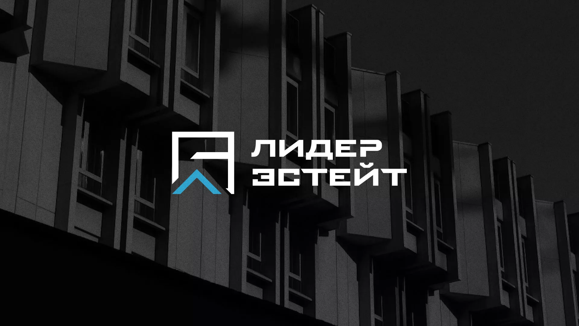 Разработка логотипа агентства недвижимости «Лидер Эстейт» в Пятигорске
