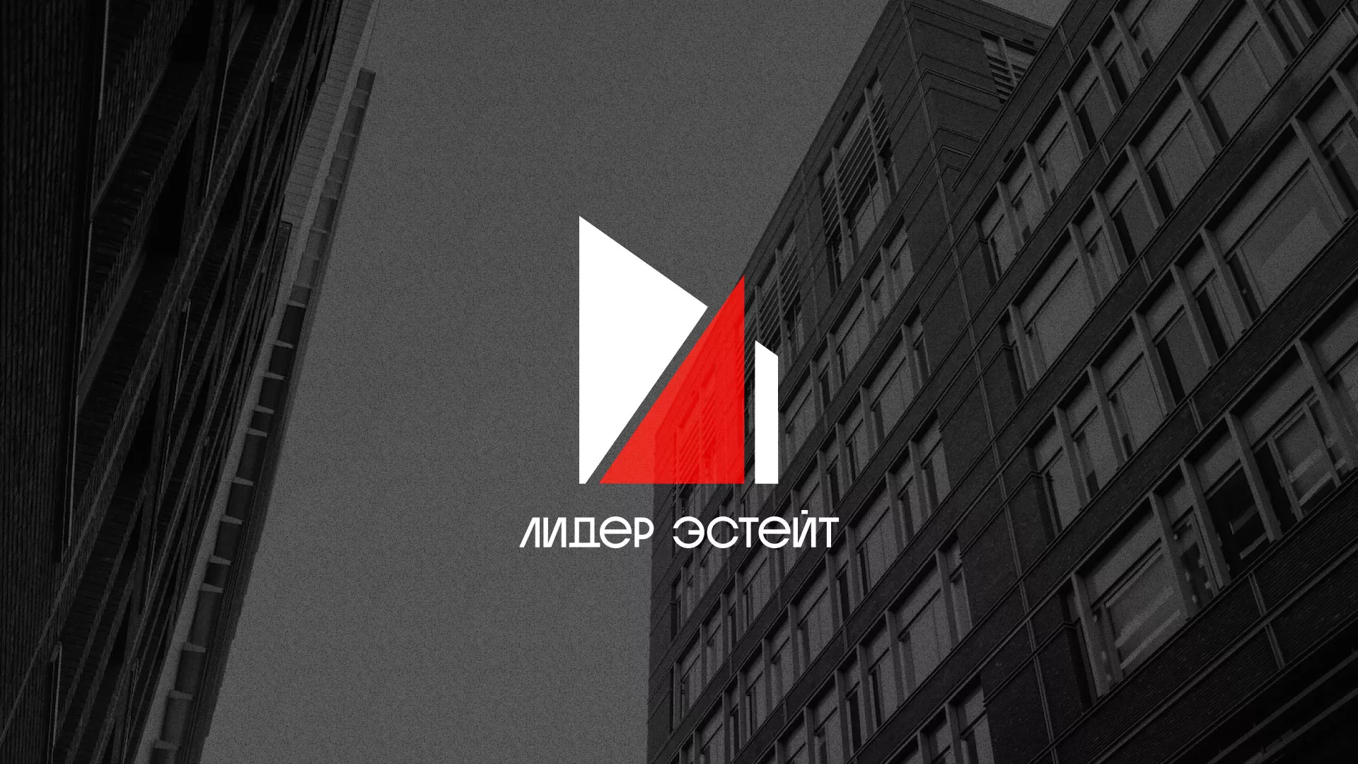 Сделали логотип для агентства недвижимости «Лидер Эстейт» в Пятигорске
